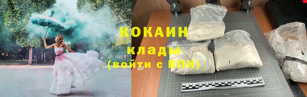 ешки Горняк