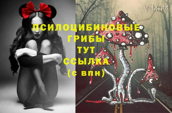 ешки Горняк