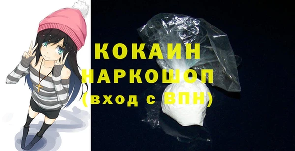 ешки Горняк