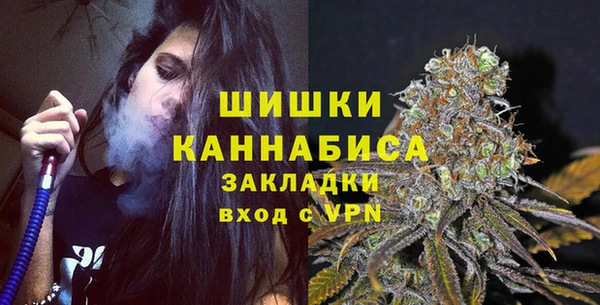 тгк Горно-Алтайск