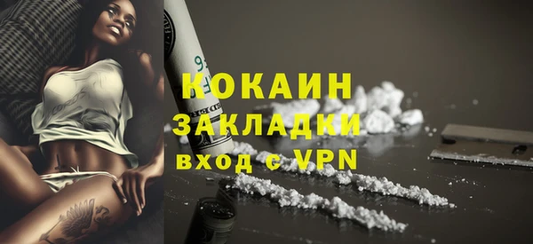 ешки Горняк