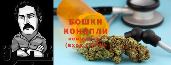 первитин Гусиноозёрск