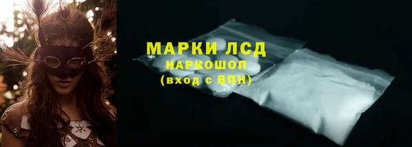 ешки Горняк