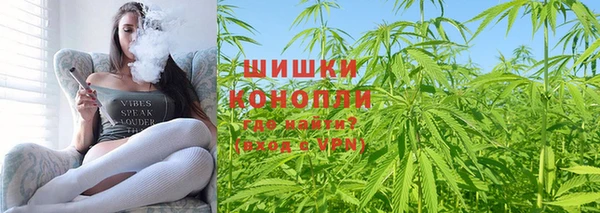 ешки Горняк