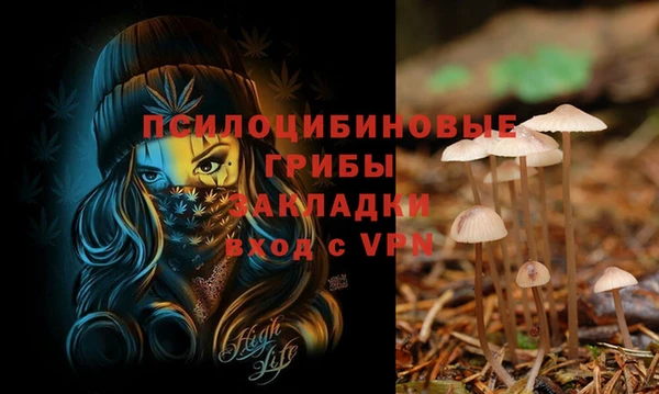 первитин Гусиноозёрск