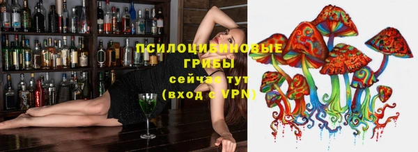ешки Горняк