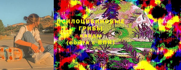 тгк Горно-Алтайск