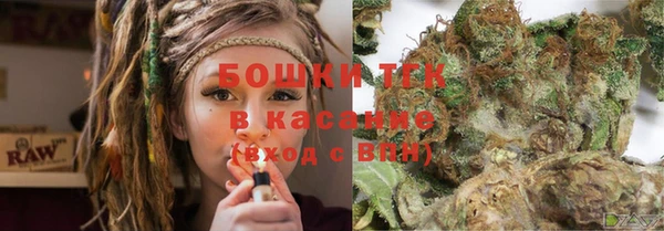 тгк Горно-Алтайск