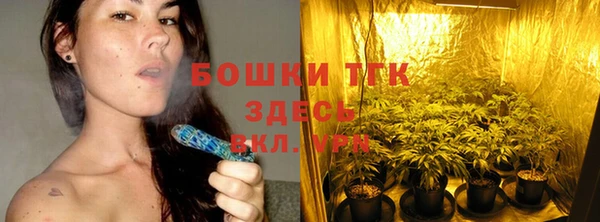 ешки Горняк