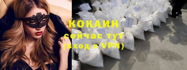 ешки Горняк