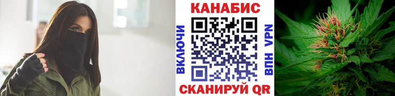 Купить где  Корсаков  Канабис сатива 